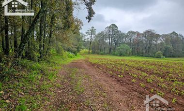TERRENO 3000 m2 EN EL PUEBLO MÁGICO HUASCA DE OCAMPO UBICADO A LA ENTRADA DEL PUEBLO SAN JOSÉ OCOTILLOS