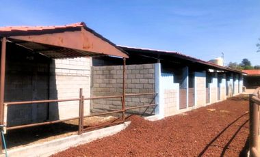 VENTA DE FINCA ECUESTRE. SANTIAGO UNDAMEO, MICH.