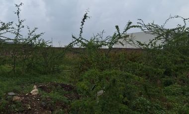TERRENO EN VENTA Frente al ÁREA VERDE, Lomas del  Molino V
