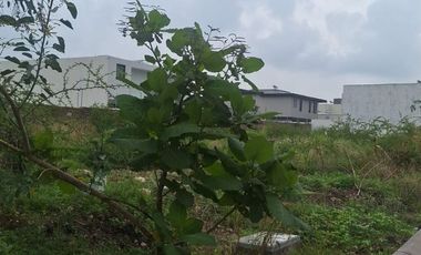 TERRENO EN VENTA Frente al ÁREA VERDE, Lomas del  Molino V