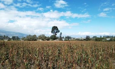 TERRENO EN VENTA EN TABACUNDO 1 hectárea.