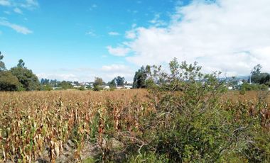 TERRENO EN VENTA EN TABACUNDO 1 hectárea.