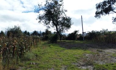 TERRENO EN VENTA EN TABACUNDO 1 hectárea.