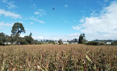 TERRENO EN VENTA EN TABACUNDO 1 hectárea.