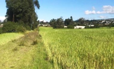 TERRENO EN VENTA EN TABACUNDO 1 hectárea.