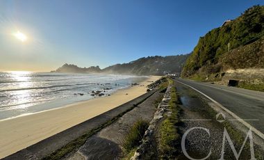 SE VENDE HISTÓRICA Y RECONOCIDA HOSTERÍA EN MAICOLPUE, COSTA DE OSORNO