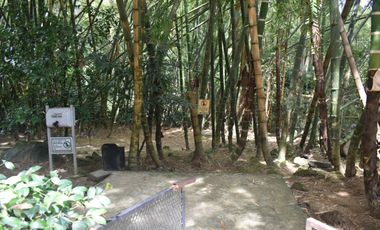 APARTAMENTO EN VENTA EN MEDELLIN EN LA MILLA DE ORO