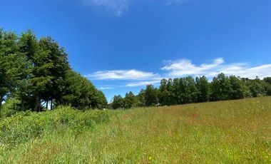 Excelente Parcela Sector Los Copihues – Villarrica