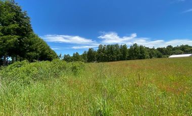 Excelente Parcela Sector Los Copihues – Villarrica