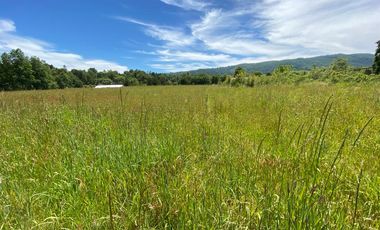 Excelente Parcela Sector Los Copihues – Villarrica