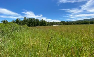 Excelente Parcela Sector Los Copihues – Villarrica