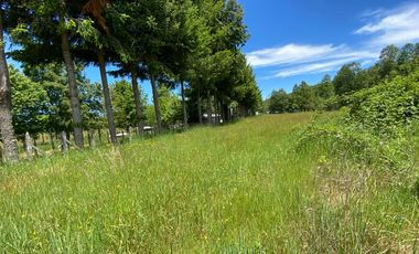 Excelente Parcela Sector Los Copihues – Villarrica