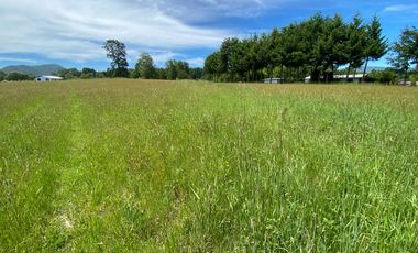 Excelente Parcela Sector Los Copihues – Villarrica
