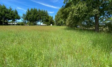 Excelente Parcela Sector Los Copihues – Villarrica