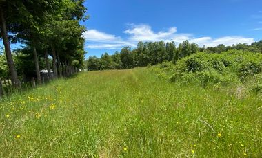 Excelente Parcela Sector Los Copihues – Villarrica