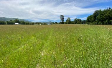 Excelente Parcela Sector Los Copihues – Villarrica