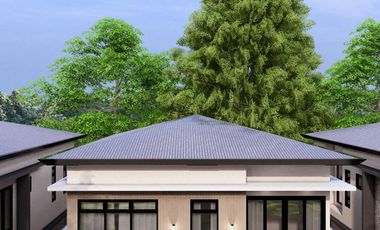Cheap House for Sale Parañaque BF Presidents Heights