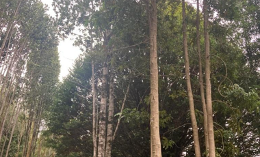 Casa en parcela sector Lago Chapo