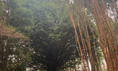 Casa en parcela sector Lago Chapo