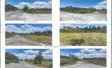 Affordable Subdivision Lots in Azores Subdivision, Brgy. Santo Angel, San Pablo City, Laguna