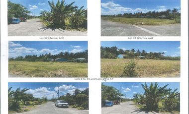Affordable Subdivision Lots in Azores Subdivision, Brgy. Santo Angel, San Pablo City, Laguna