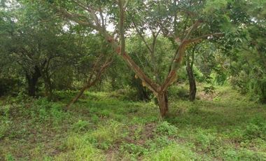 Terreno en venta Club de Golf Santa Fe, Xochitepec Morelos
