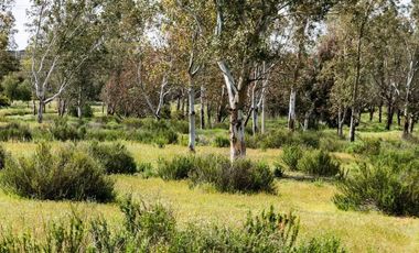 Terreno para construir tu casa de Descanso, en un ambiente con tranquilidad y seguridad en Rancho Banchetti