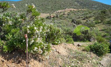 Gran Parcela de 9.700 m² en Quilacán, a solo 15–20 minutos desde La Serena. $44.5 mm