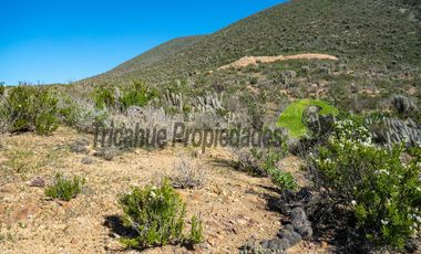 Gran Parcela de 9.700 m² en Quilacán, a solo 15–20 minutos desde La Serena. $44.5 mm