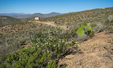 Gran Parcela de 9.700 m² en Quilacán, a solo 15–20 minutos desde La Serena. $44.5 mm