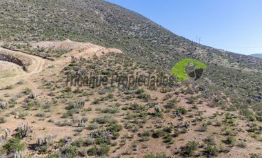 Gran Parcela de 9.700 m² en Quilacán, a solo 15–20 minutos desde La Serena. $44.5 mm