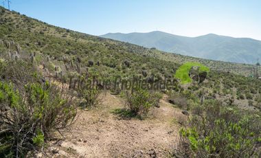 Gran Parcela de 9.700 m² en Quilacán, a solo 15–20 minutos desde La Serena. $44.5 mm