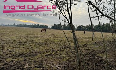 Parcelas  de 5000mts2 con inmejorable ubicación ubicadas en Camino a Cato desde 0.5UFpor mt2