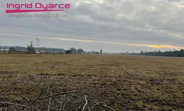 Parcelas  de 5000mts2 con inmejorable ubicación ubicadas en Camino a Cato desde 0.5UFpor mt2