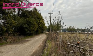 Parcelas  de 5000mts2 con inmejorable ubicación ubicadas en Camino a Cato desde 0.5UFpor mt2