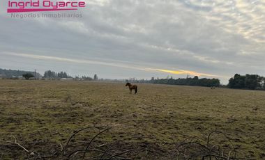 Parcelas  de 5000mts2 con inmejorable ubicación ubicadas en Camino a Cato desde 0.5UFpor mt2