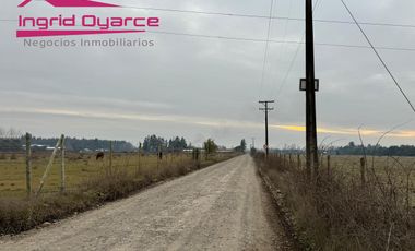 Parcelas  de 5000mts2 con inmejorable ubicación ubicadas en Camino a Cato desde 0.5UFpor mt2