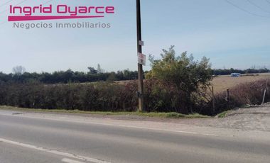 Parcelas  de 5000mts2 con inmejorable ubicación ubicadas en Camino a Cato desde 0.5UFpor mt2