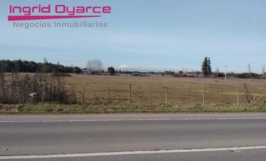 Parcelas  de 5000mts2 con inmejorable ubicación ubicadas en Camino a Cato desde 0.5UFpor mt2