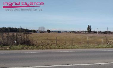 Parcelas  de 5000mts2 con inmejorable ubicación ubicadas en Camino a Cato desde 0.5UFpor mt2