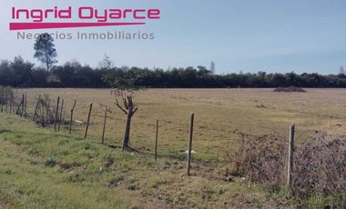 Parcelas  de 5000mts2 con inmejorable ubicación ubicadas en Camino a Cato desde 0.5UFpor mt2