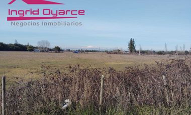 Parcelas  de 5000mts2 con inmejorable ubicación ubicadas en Camino a Cato desde 0.5UFpor mt2