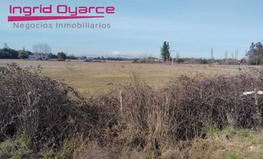 Parcelas  de 5000mts2 con inmejorable ubicación ubicadas en Camino a Cato desde 0.5UFpor mt2