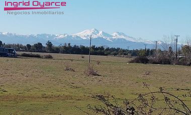 Parcelas  de 5000mts2 con inmejorable ubicación ubicadas en Camino a Cato desde 0.5UFpor mt2