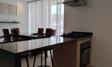 Apartamento en arriendo en Villa Santos.
