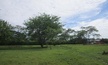 TERRENO RURAL - 25000 M2 - UBIC.: VILLAVICENCIO