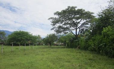 TERRENO RURAL - 25000 M2 - UBIC.: VILLAVICENCIO