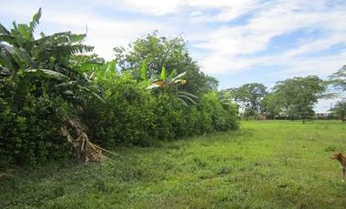 TERRENO RURAL - 25000 M2 - UBIC.: VILLAVICENCIO