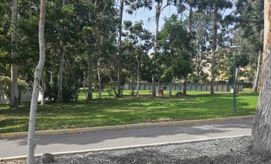 TERRENO PARA CASA DE CAMPO CERCA A LA PLAYA.