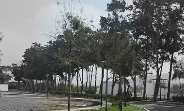 TERRENO PARA CASA DE CAMPO CERCA A LA PLAYA.